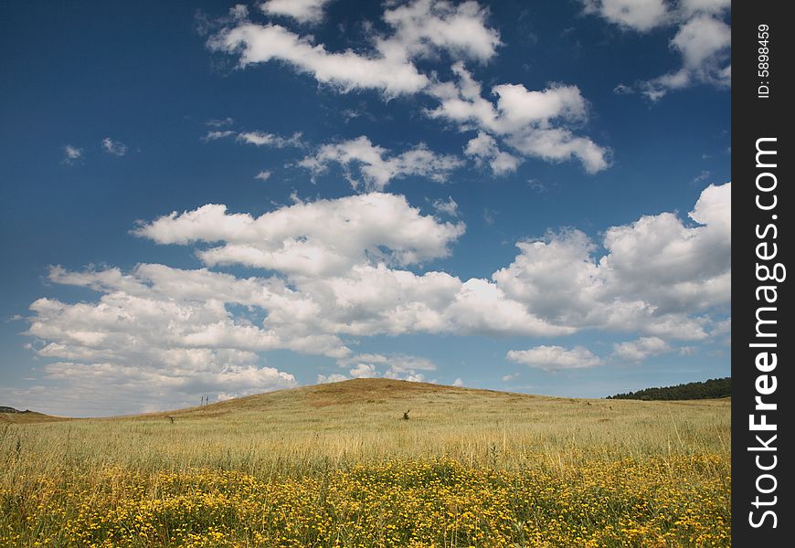 Steppe field under the blue sky and clouds