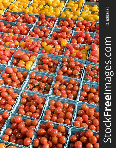 Tomatoes - Vertical