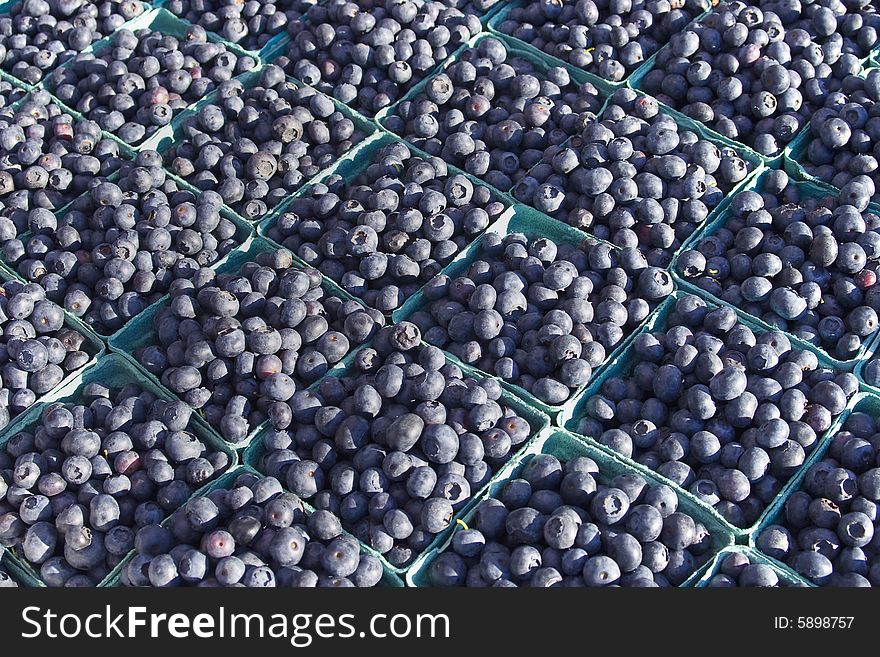 Photo of bunches of blueberries. Horizontally framed photos. Photo of bunches of blueberries. Horizontally framed photos.