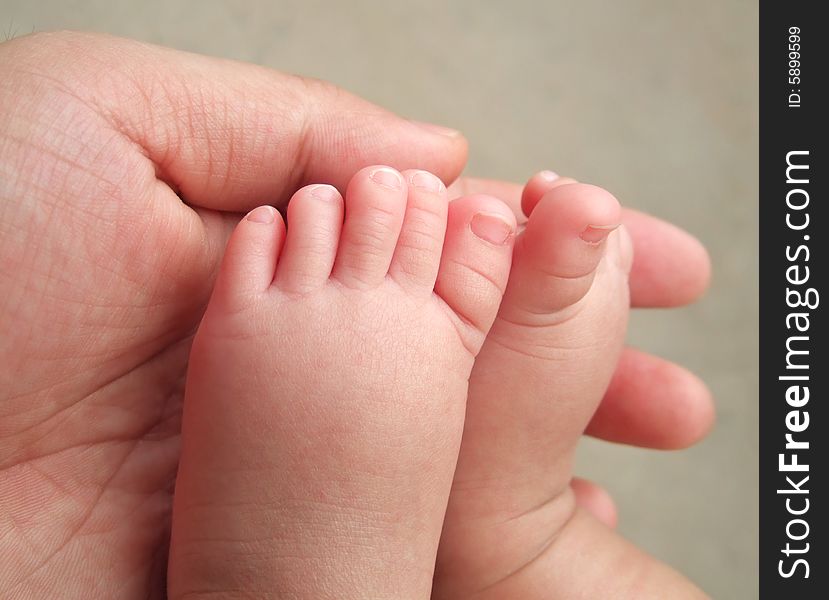 The little foot of daughter  in the big hand of father