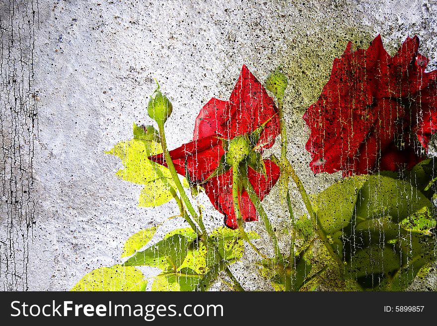 Grunge Floral Background. Background Collection.