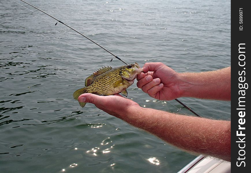 Big Roch bass caught on a worm