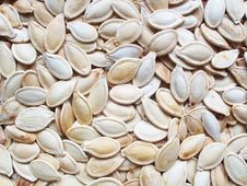Pumpkin Beans Royalty Free Stock Photos Pumpkin Beans Royalty Free Stock Photos