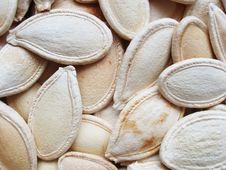 Pumpkin Beans Stock Images Pumpkin Beans Stock Images