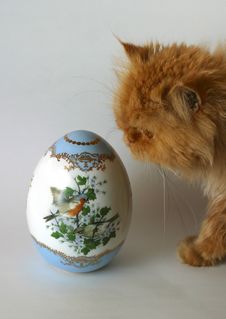 Easter Egg And Cat Stock Image Easter Egg And Cat Stock Image