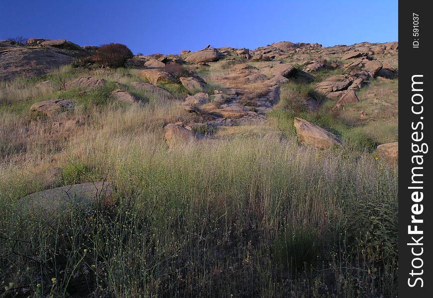 A grassy field illuminated by the setting sun, with a dark blue sky and red rocks. A grassy field illuminated by the setting sun, with a dark blue sky and red rocks