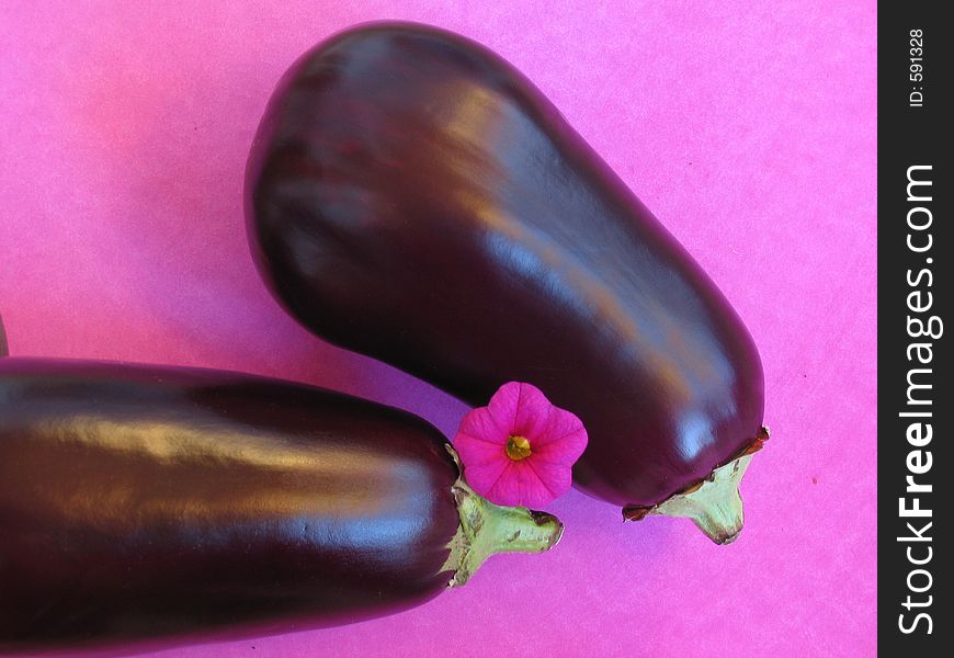 Beautyful eggplants on pink