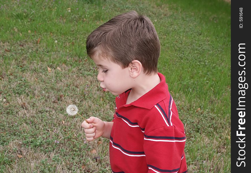 A young boy blowing on a dandelion flower seed pod (blow flower). A young boy blowing on a dandelion flower seed pod (blow flower).