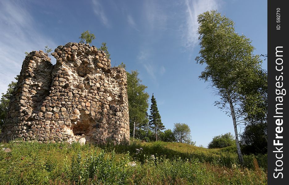 Old Fortress And Tree