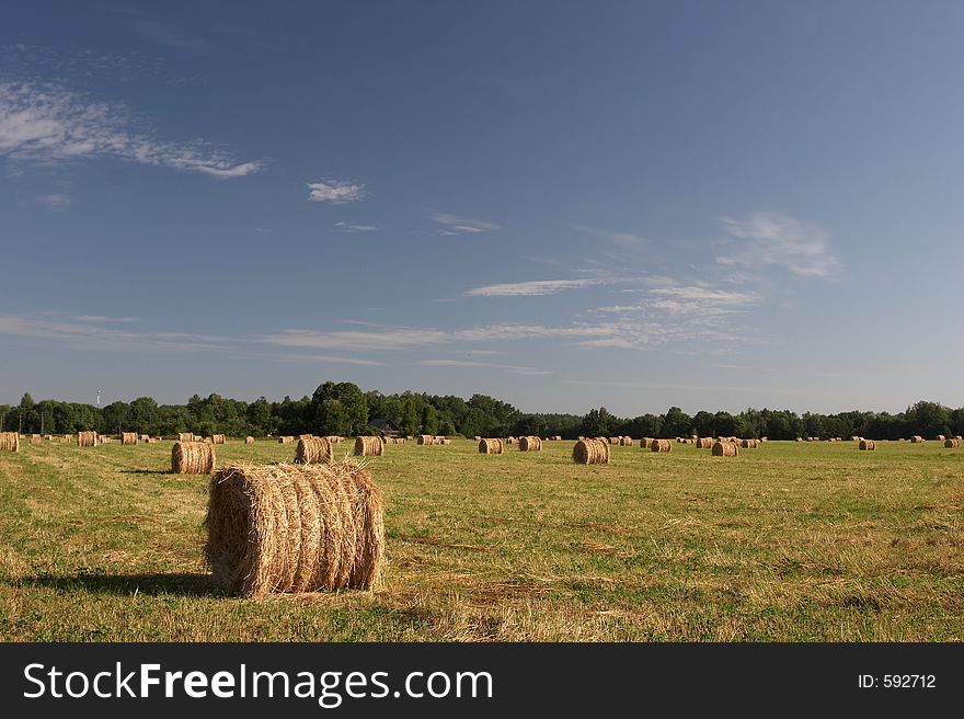 Hay, blue sky. Hay, blue sky