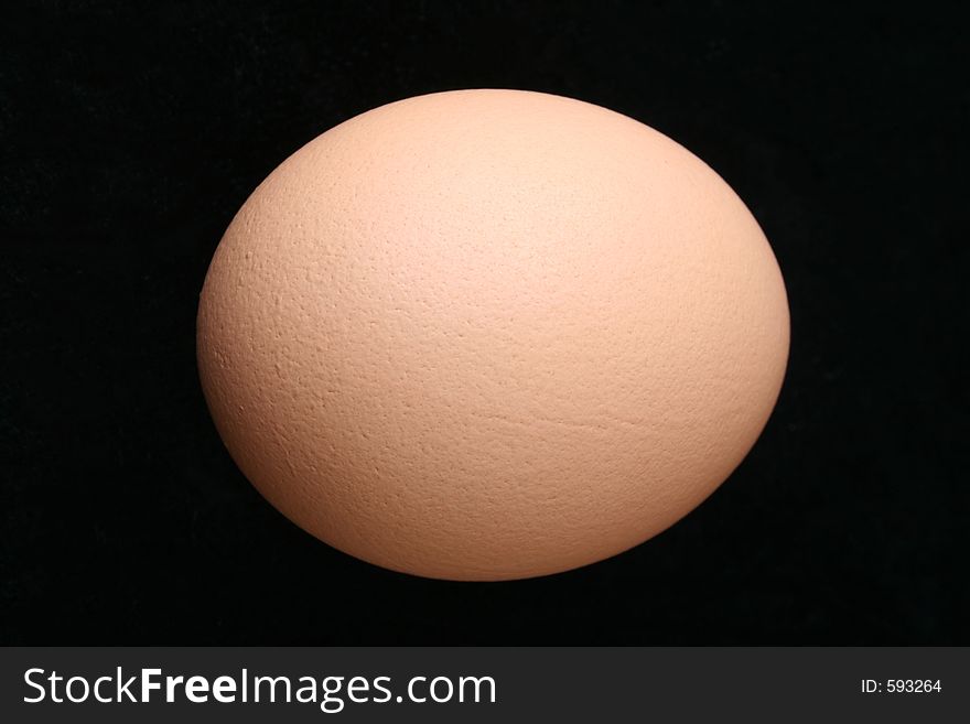 An Egg is Displayed against a Black Background.