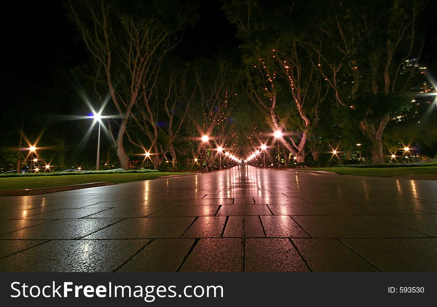 Alley at night in a public park. Alley at night in a public park