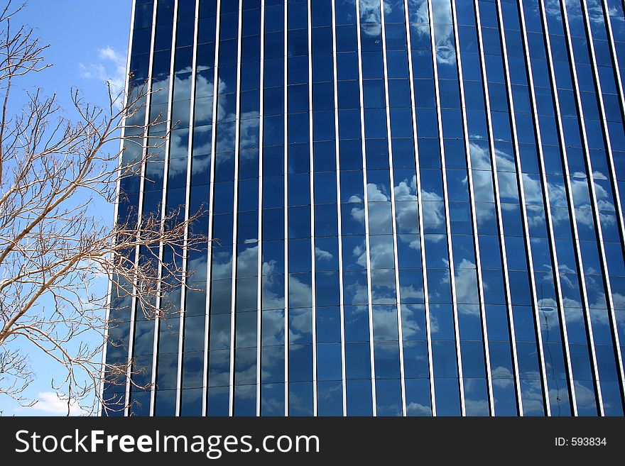 Modern building reflects a blue sky with clouds and a tree