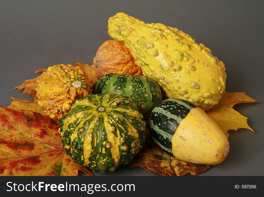 Yellow orange green gourds, halloween theme