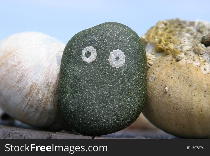 Rocks Like Human Faces