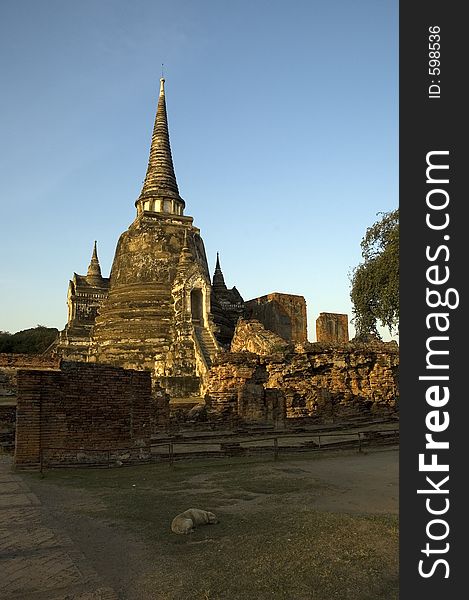 Temple Ruin, Ayutthaya (Thailand)