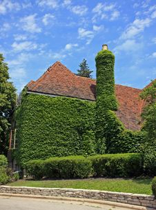Ivy-Clad Garden Club Building In The Suburbs Of Ch Stock Images Ivy-Clad Garden Club Building In The Suburbs Of Ch Stock Images