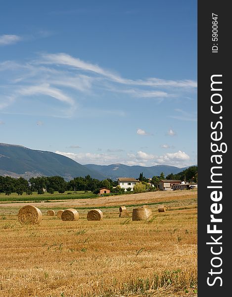 Hay bales in the country of the region umbria