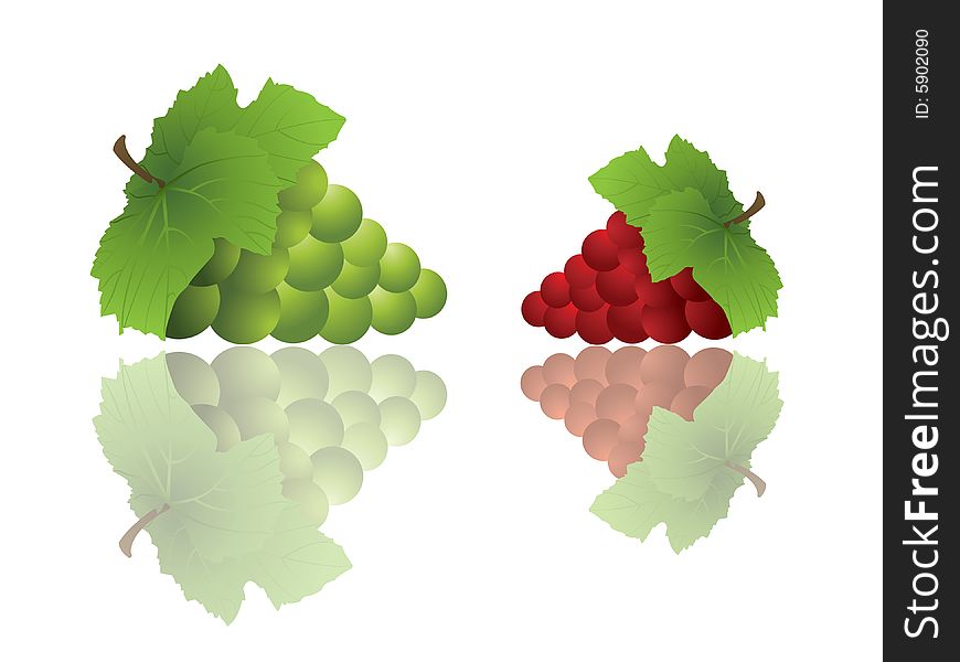 Bunches of red and green grapes with reflections.