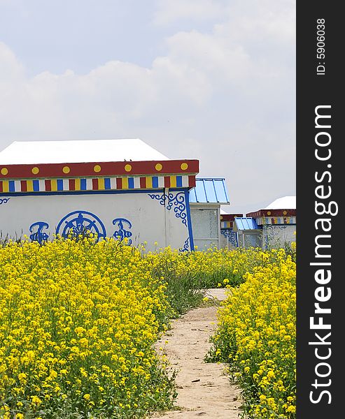 Flowers and house, tibet house and flower