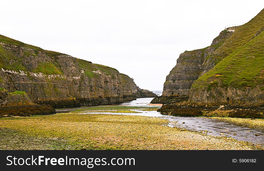 Dangerous cliffs covered with grass at low tide