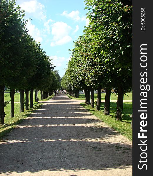 Lime avenue in ancient manor Sheremetev Kuskovo's column