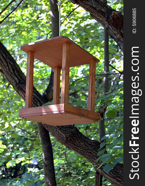 Birdffeder structure on a tree in a wood. Birdffeder structure on a tree in a wood