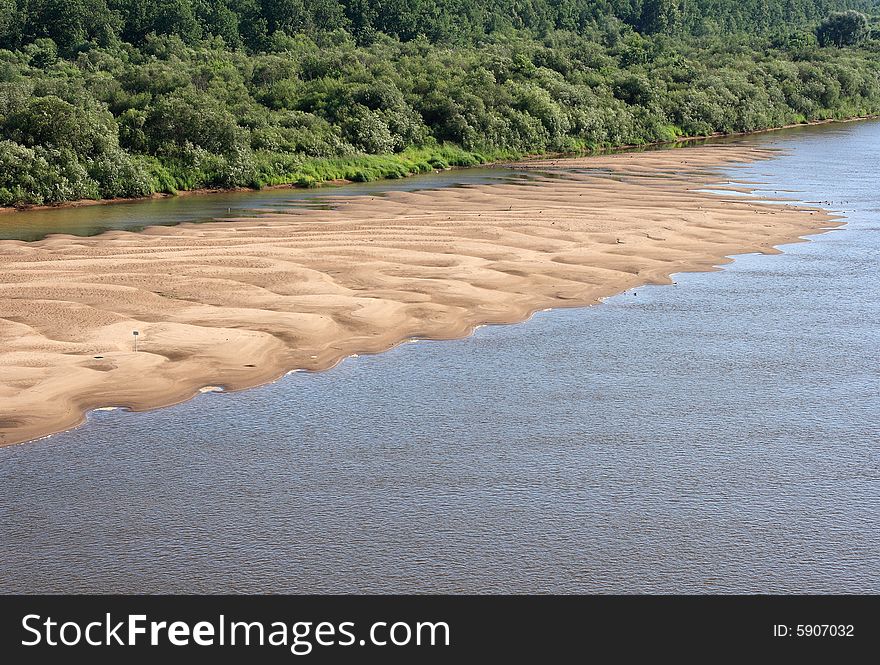 Green trees on a riverside . Russia