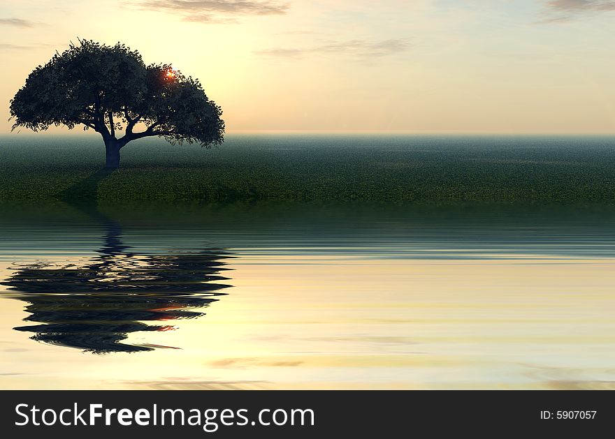 Alone tree on a riverside at sunset. Alone tree on a riverside at sunset.