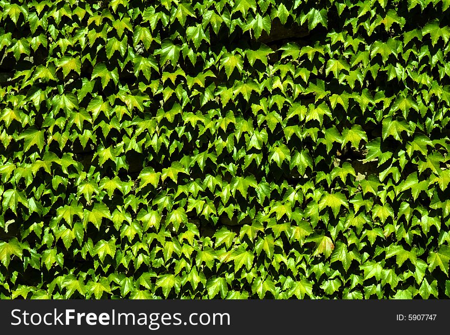 Abstract background with scrubby masonry. Abstract background with scrubby masonry