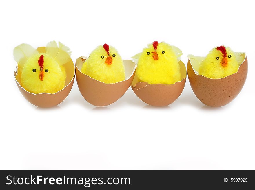 Just hutched yellow chicken, eggs and eggshell. Just hutched yellow chicken, eggs and eggshell