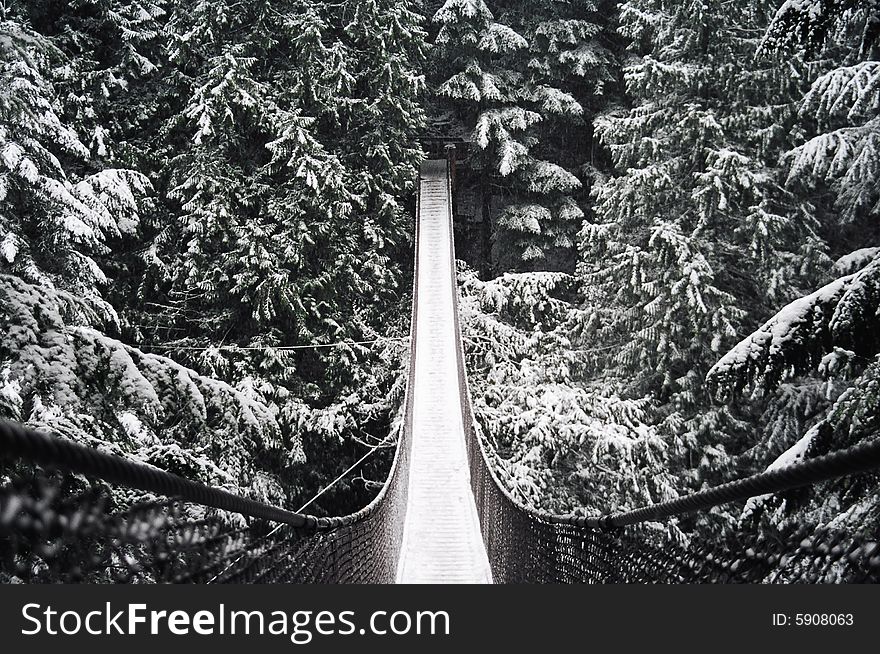 A Snow Covered Bridge through the Trees