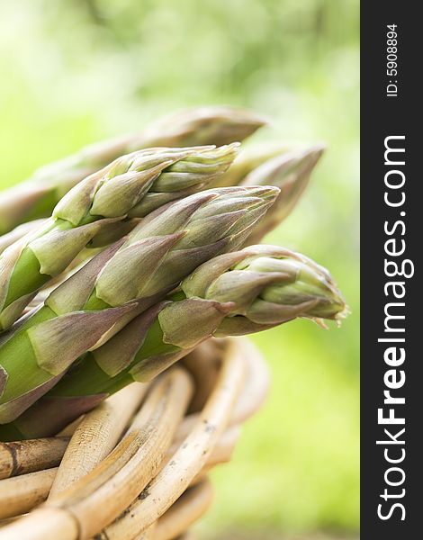 Close up of asparagus tips in basket. Close up of asparagus tips in basket