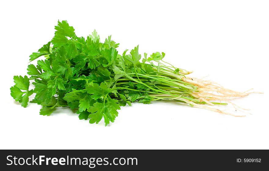 Close-up parsley, isolated on white