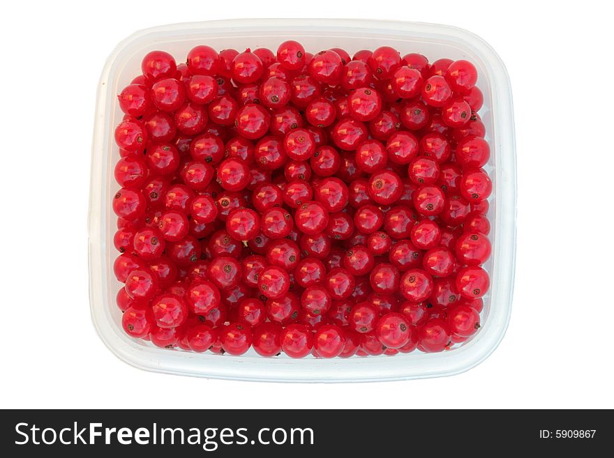 Red Currant .