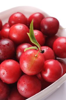 Cherry-plum. Royalty Free Stock Photography Cherry-plum. Royalty Free Stock Photography