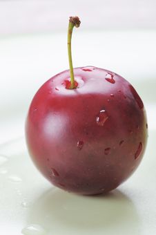 Cherry-plum. Royalty Free Stock Photography Cherry-plum. Royalty Free Stock Photography