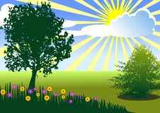 Summer Landscape With Tree Stock Photos Summer Landscape With Tree Stock Photos