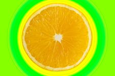 Half An Orange With Concentric Circles Royalty Free Stock Photo Half An Orange With Concentric Circles Royalty Free Stock Photo