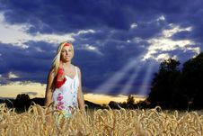 Wheat Field And A Girl Stock Photos Wheat Field And A Girl Stock Photos
