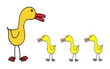 Duck With Ducklings Stock Image