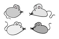 Mouses Royalty Free Stock Photos Mouses Royalty Free Stock Photos