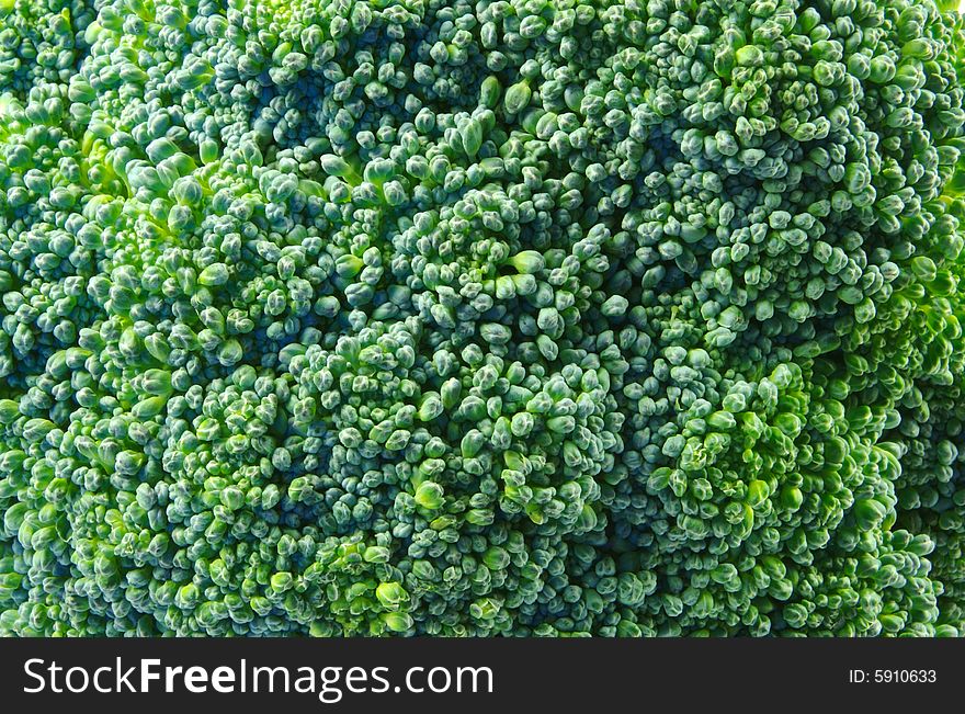 A closeup photograph of a head of broccoli. A closeup photograph of a head of broccoli