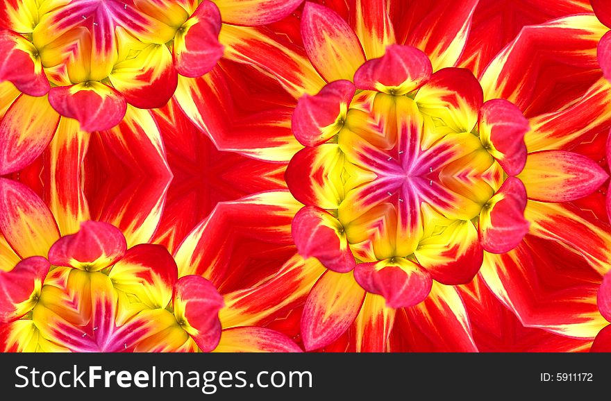 A seamless Dahlia flower pattern texture background. A seamless Dahlia flower pattern texture background.