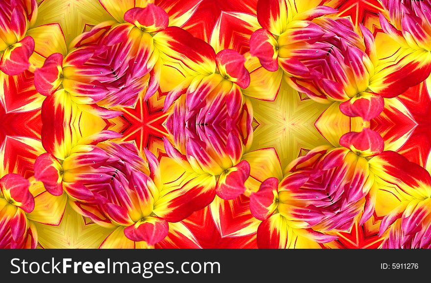 A seamless Dahlia flower pattern texture background. A seamless Dahlia flower pattern texture background.