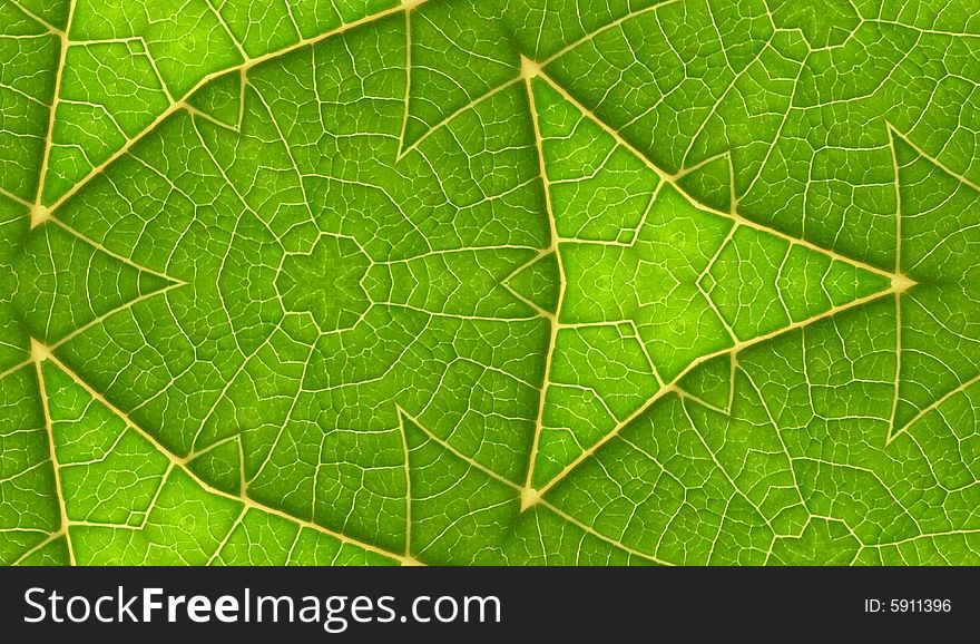 A seamless pattern background texture of the underside of a green leaf. A seamless pattern background texture of the underside of a green leaf.