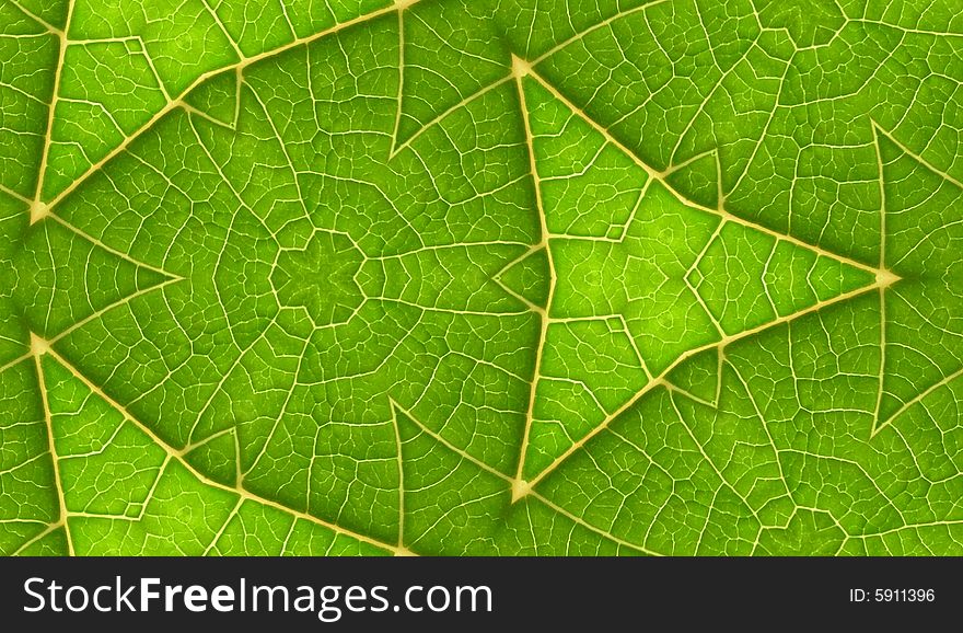 Underside Of Green Leaf Seamless Tile Background