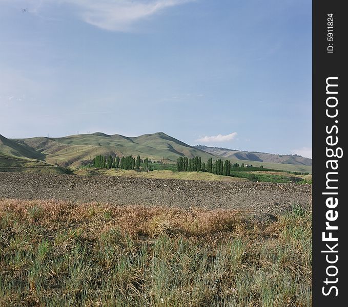 A view from a road in Eastern Washington, United States. A view from a road in Eastern Washington, United States