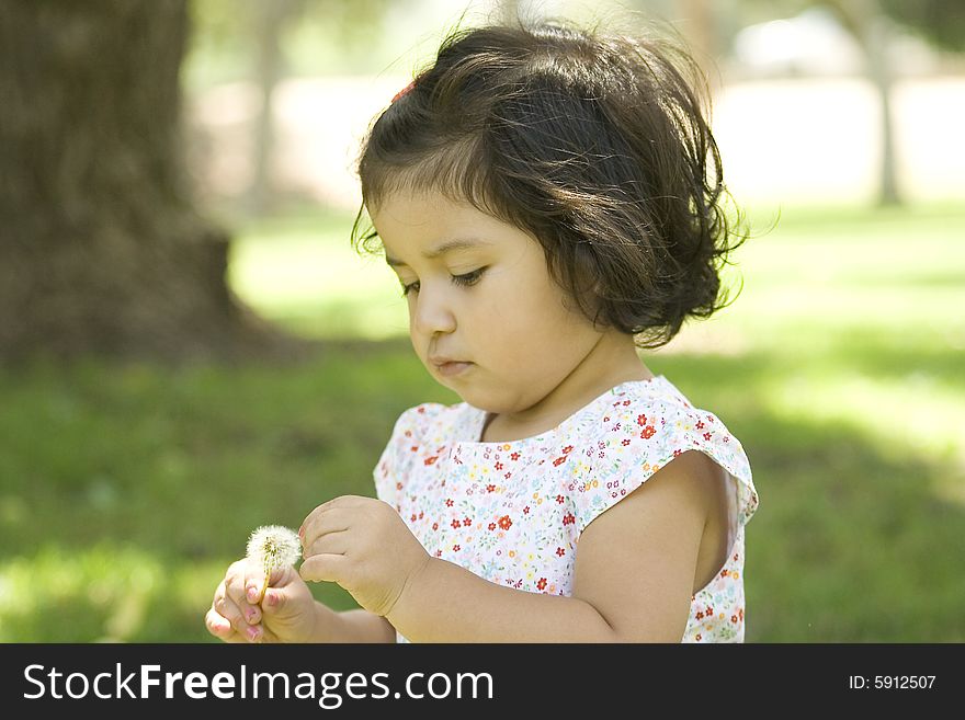 A child discovering nature on a summer day.