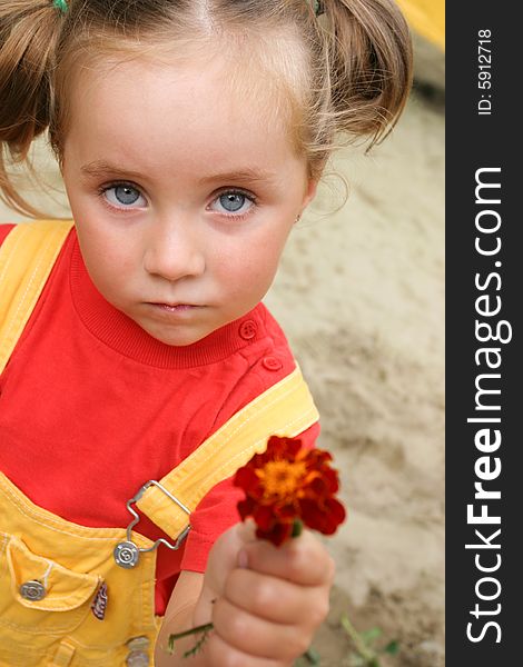 Small guiltily girl present a red flower. Small guiltily girl present a red flower